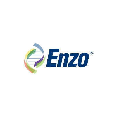 enzo-logo